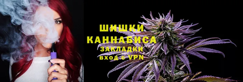 darknet Telegram  Зеленоградск  Бошки марихуана конопля 